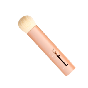 Retractable Brush